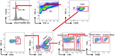 Natural intraepithelial lymphocyte populations rise during necrotic enteritis in chickens